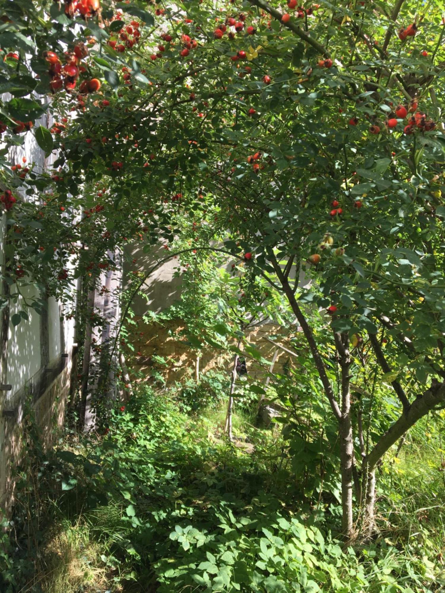Cherrytree Cottage 1840 Heimbach Luaran gambar