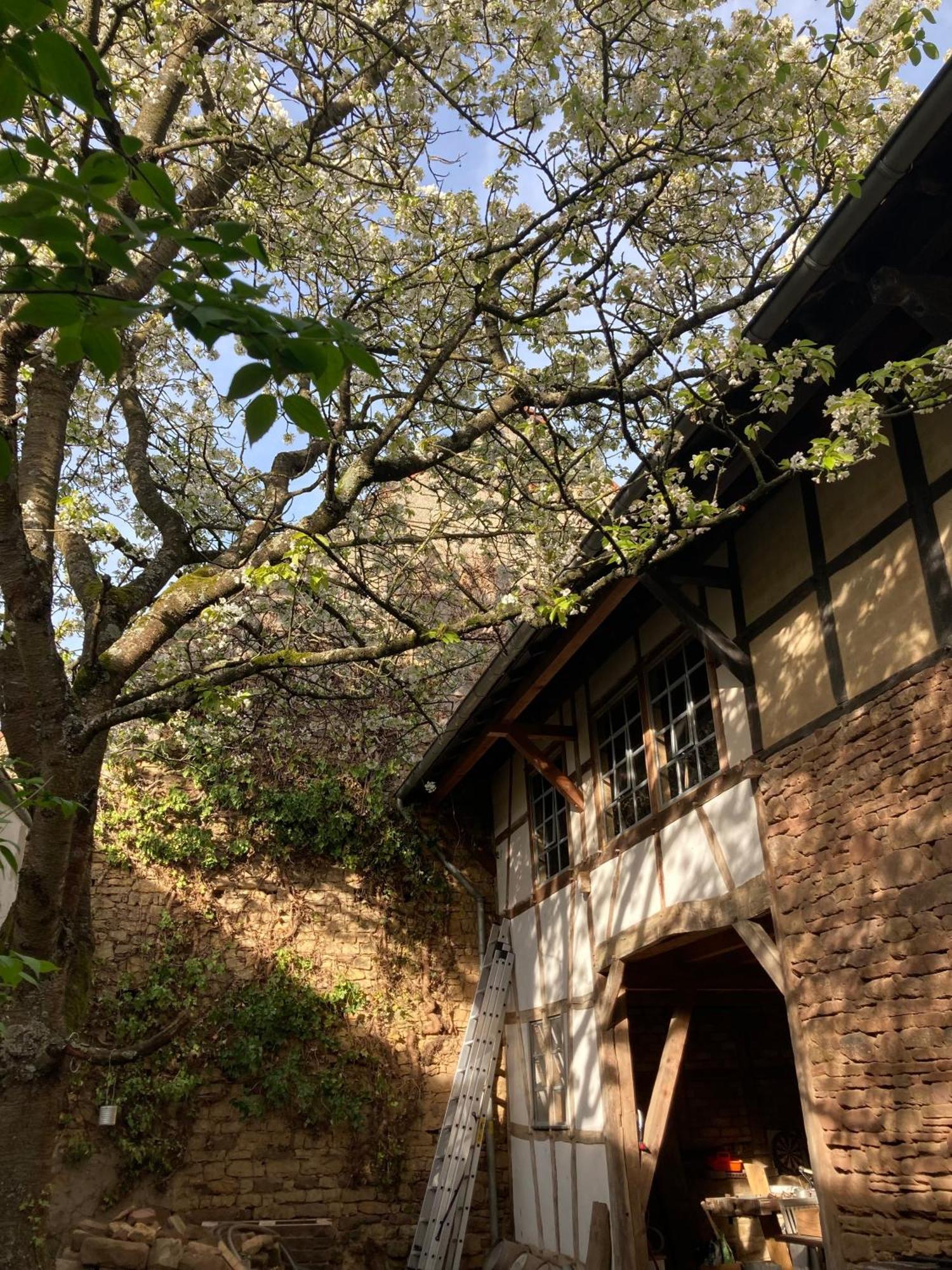 Cherrytree Cottage 1840 Heimbach Luaran gambar